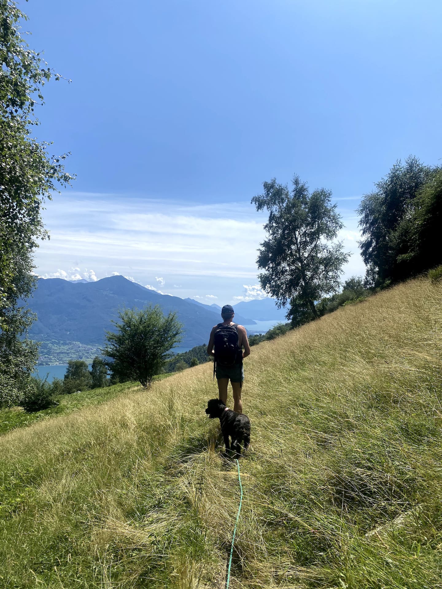 Turgåer og hund på en sommereng over sjøen